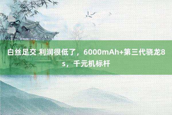 白丝足交 利润很低了，6000mAh+第三代骁龙8s，千元机标杆