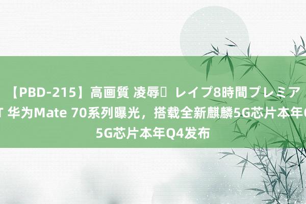 【PBD-215】高画質 凌辱・レイプ8時間プレミアムBEST 华为Mate 70系列曝光，搭载全新麒麟5G芯片本年Q4发布