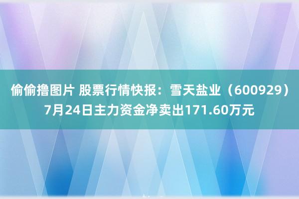 偷偷撸图片 股票行情快报：雪天盐业（600929）7月24日主力资金净卖出171.60万元