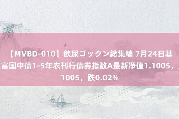 【MVBD-010】飲尿ゴックン総集編 7月24日基金净值：富国中债1-5年农刊行债券指数A最新净值1.1005，跌0.02%