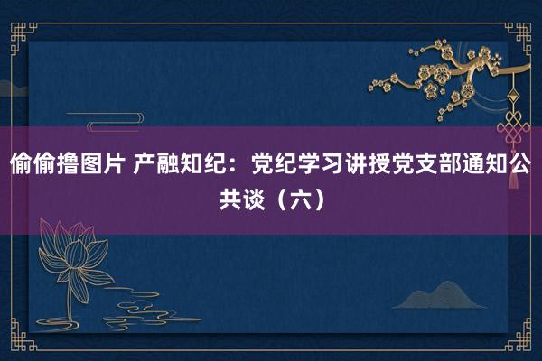 偷偷撸图片 产融知纪：党纪学习讲授党支部通知公共谈（六）