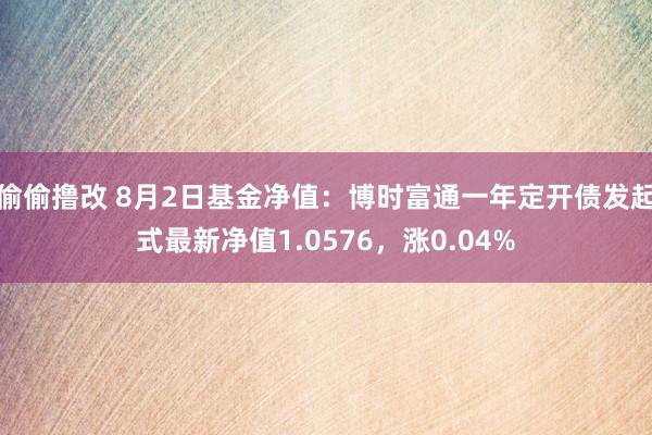 偷偷撸改 8月2日基金净值：博时富通一年定开债发起式最新净值1.0576，涨0.04%