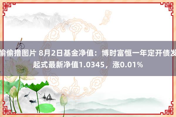 偷偷撸图片 8月2日基金净值：博时富恒一年定开债发起式最新净值1.0345，涨0.01%