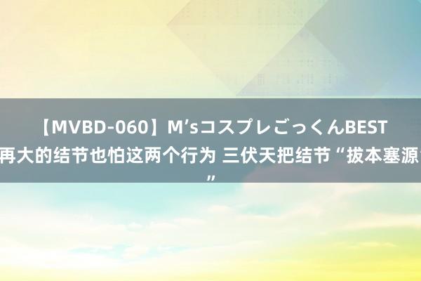 【MVBD-060】M’sコスプレごっくんBEST 再大的结节也怕这两个行为 三伏天把结节“拔本塞源”