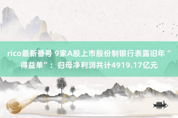 rico最新番号 9家A股上市股份制银行表露旧年“得益单”：归母净利润共计4919.17亿元