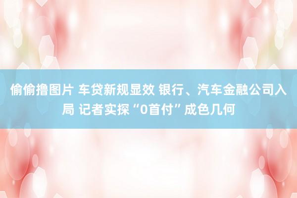 偷偷撸图片 车贷新规显效 银行、汽车金融公司入局 记者实探“0首付”成色几何