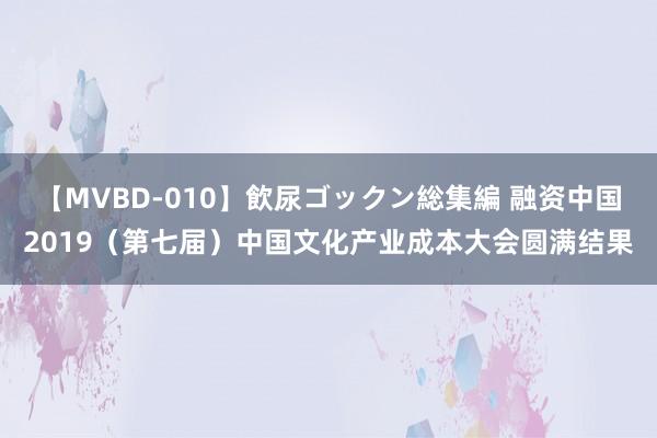 【MVBD-010】飲尿ゴックン総集編 融资中国2019（第七届）中国文化产业成本大会圆满结果