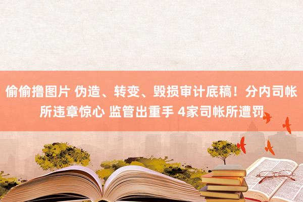 偷偷撸图片 伪造、转变、毁损审计底稿！分内司帐所违章惊心 监管出重手 4家司帐所遭罚