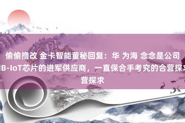 偷偷撸改 金卡智能董秘回复：华 为海 念念是公司NB-IoT芯片的进军供应商，一直保合手考究的合营探求