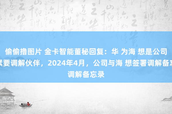 偷偷撸图片 金卡智能董秘回复：华 为海 想是公司的紧要调解伙伴，2024年4月，公司与海 想签署调解备忘录