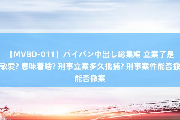 【MVBD-011】パイパン中出し総集編 立案了是啥敬爱? 意味着啥? 刑事立案多久批捕? 刑事案件能否撤案