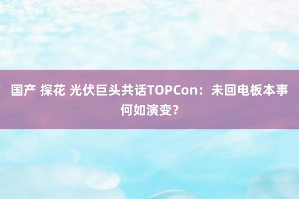 国产 探花 光伏巨头共话TOPCon：未回电板本事何如演变？