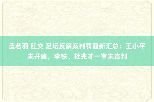 孟若羽 肛交 足坛反腐案判罚最新汇总：王小平未开庭，李铁、杜兆才一审未宣判