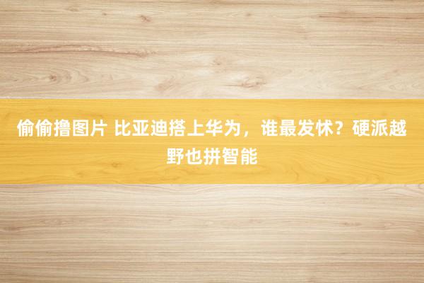 偷偷撸图片 比亚迪搭上华为，谁最发怵？硬派越野也拼智能