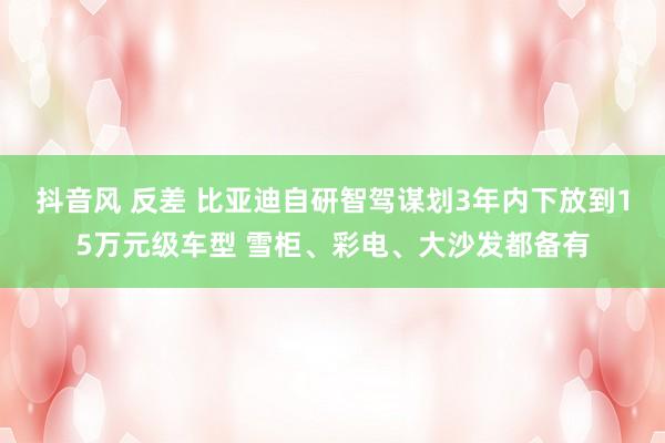 抖音风 反差 比亚迪自研智驾谋划3年内下放到15万元级车型 雪柜、彩电、大沙发都备有