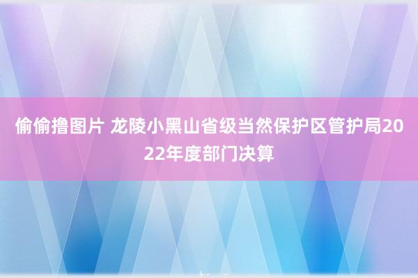 偷偷撸图片 龙陵小黑山省级当然保护区管护局2022年度部门决算