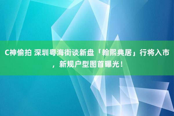 C神偷拍 深圳粤海街谈新盘「翰熙典居」行将入市，新规户型图首曝光！
